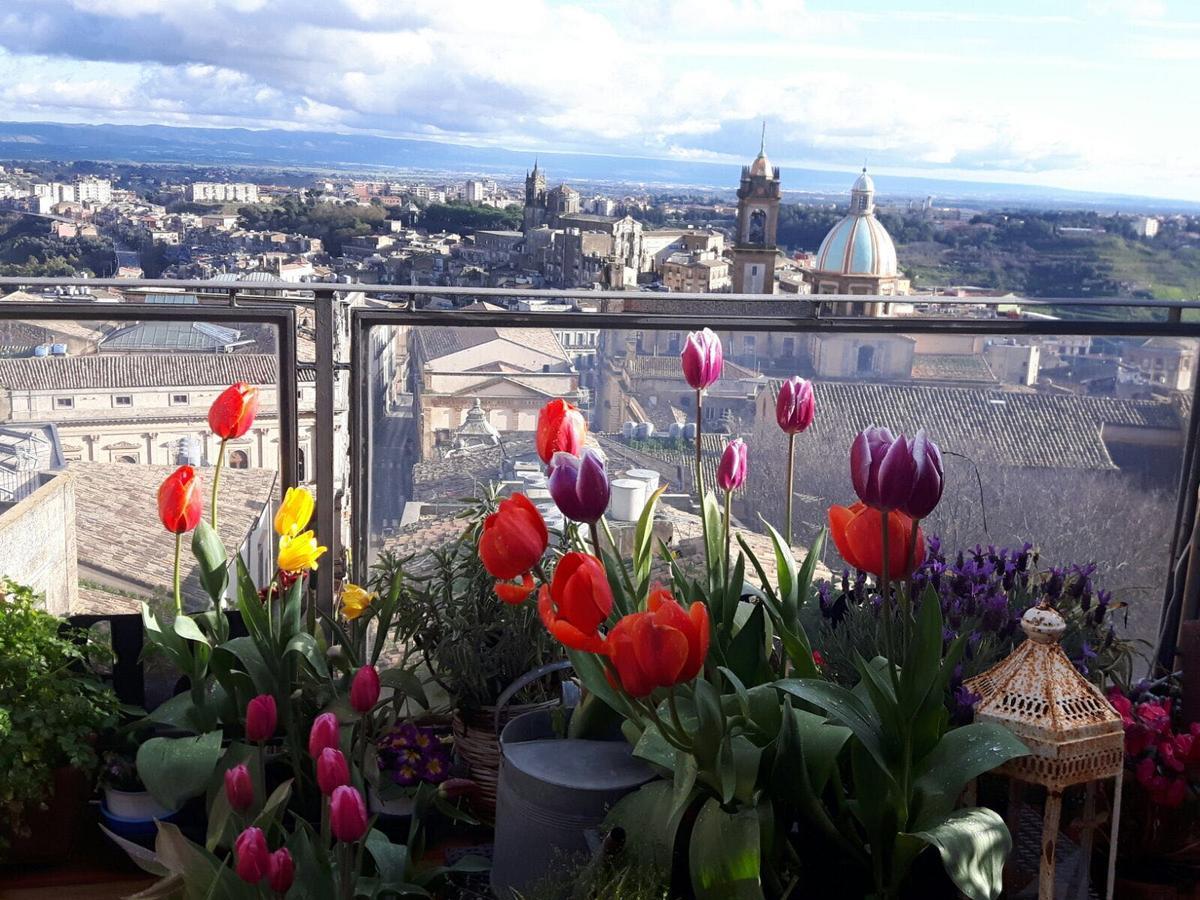 Casa Tipica Siciliana Patronale Home Bedandbreakfast Tremetrisoprailcielo Camere Con Vista, Colazione Interna In Terrazzo Panoramico กัลตาจีโรเน ภายนอก รูปภาพ