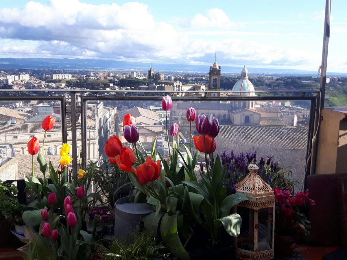 Casa Tipica Siciliana Patronale Home Bedandbreakfast Tremetrisoprailcielo Camere Con Vista, Colazione Interna In Terrazzo Panoramico กัลตาจีโรเน ภายนอก รูปภาพ