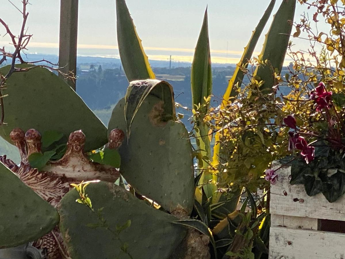 Casa Tipica Siciliana Patronale Home Bedandbreakfast Tremetrisoprailcielo Camere Con Vista, Colazione Interna In Terrazzo Panoramico กัลตาจีโรเน ภายนอก รูปภาพ